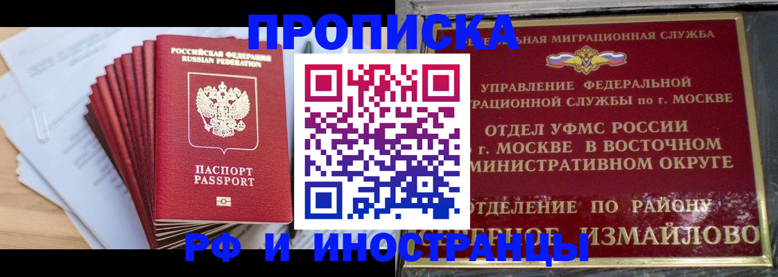 прописка поиск в Новозыбкове
